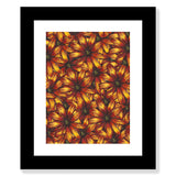 Flower Study in Yellow and Red - Osteospermum