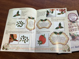 Christmas Paper Flower Expert Kit by My Craft Studio/Embellishment Attic