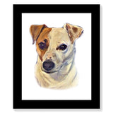 Jack Russell - Tan