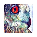 Owl Collage