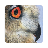 Owl in Pencil Crayon