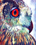 Owl Collage