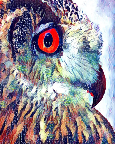 Owl Collage