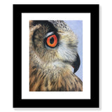 Owl in Pencil Crayon
