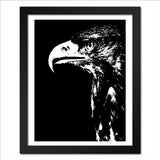 Golden Eagle Portrait in Black and White