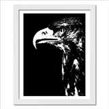 Golden Eagle Portrait in Black and White