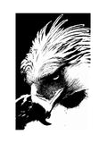 Phillipines Eagle Portrait in Black and White