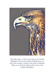 Golden Eagle Colouring Page Digital Download