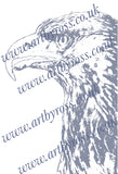 Golden Eagle Colouring Page Digital Download