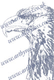 Golden Eagle Colouring Page