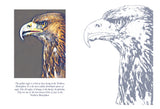 Golden Eagle Colouring Page Digital Download
