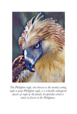Philippine Eagle in Flight Colouring Page