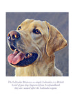 Labrador Colouring Page Digital Download
