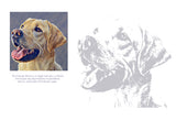 Labrador Colouring Page Digital Download