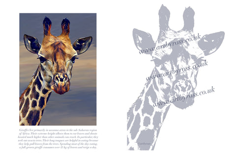 Giraffe Colouring Page Digital Download
