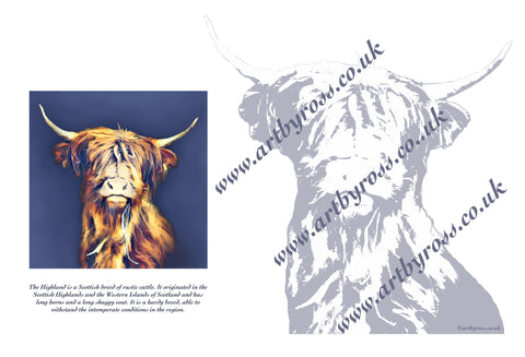 Highland Cow Colouring Page