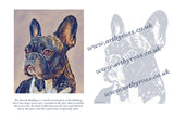 French Bulldog Colouring Page Digital Download