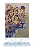 Leopard Colouring Page Digital Download