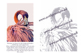 Flamingo Colouring Page