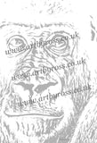 Gorilla Colouring Page Digital Download