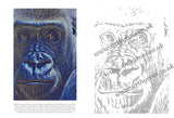 Gorilla Colouring Page