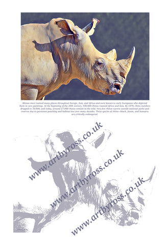Rhino Colouring Page Digital Download