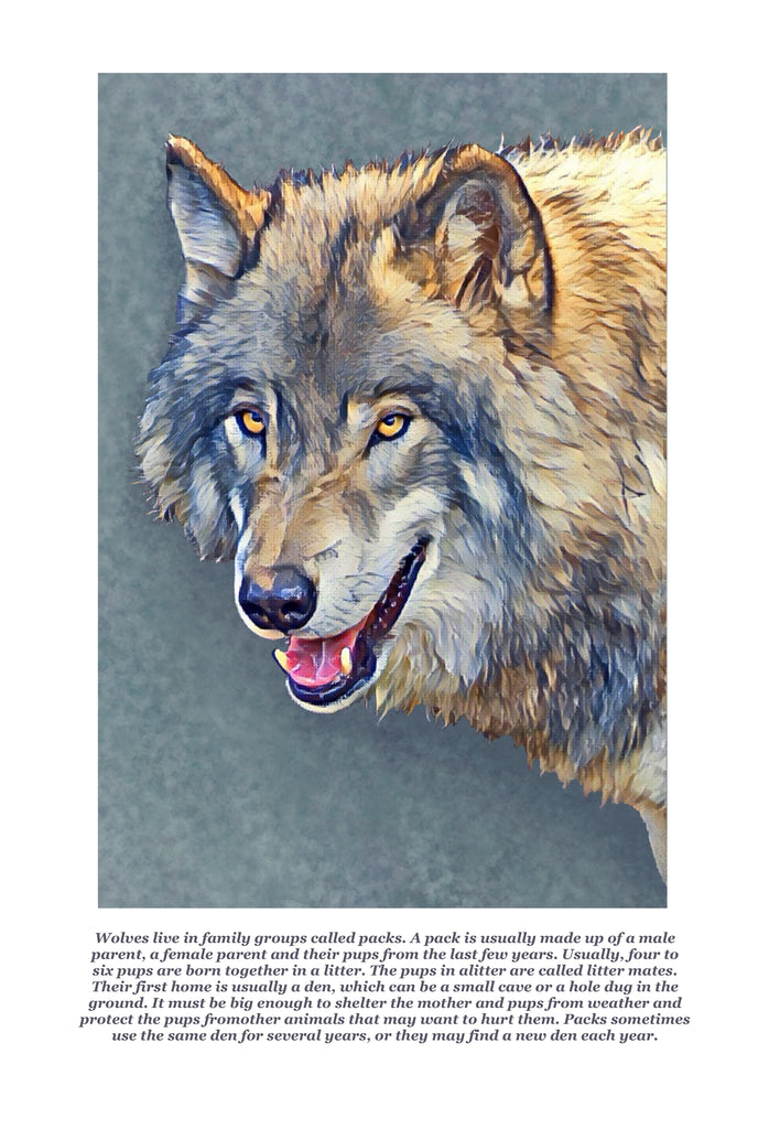 Wolf Colouring Page – Ross Art and Craft