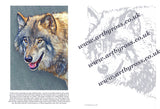 Wolf Colouring Page Digital Download