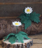 Felting Templates