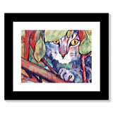 Grey Tabby Cat up in the Tree