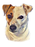 Jack Russell - Tan