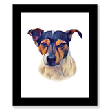 Jack Russell - Tri Colour