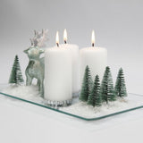 Miniature Christmas Spruce Trees